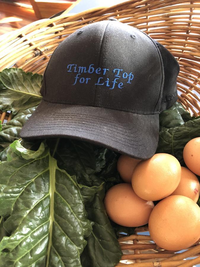 Timbertop For Life Lejlighed Gold Coast Eksteriør billede